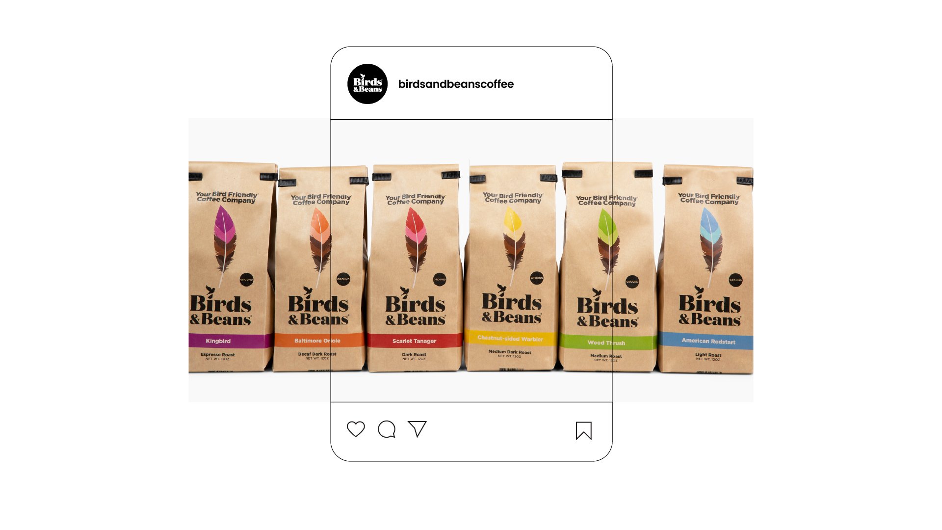 Six Birds & Beans coffee bags sit side by side. The image extends beyond the outline of an Instagram post illustrating how this image could be used as a carousel.