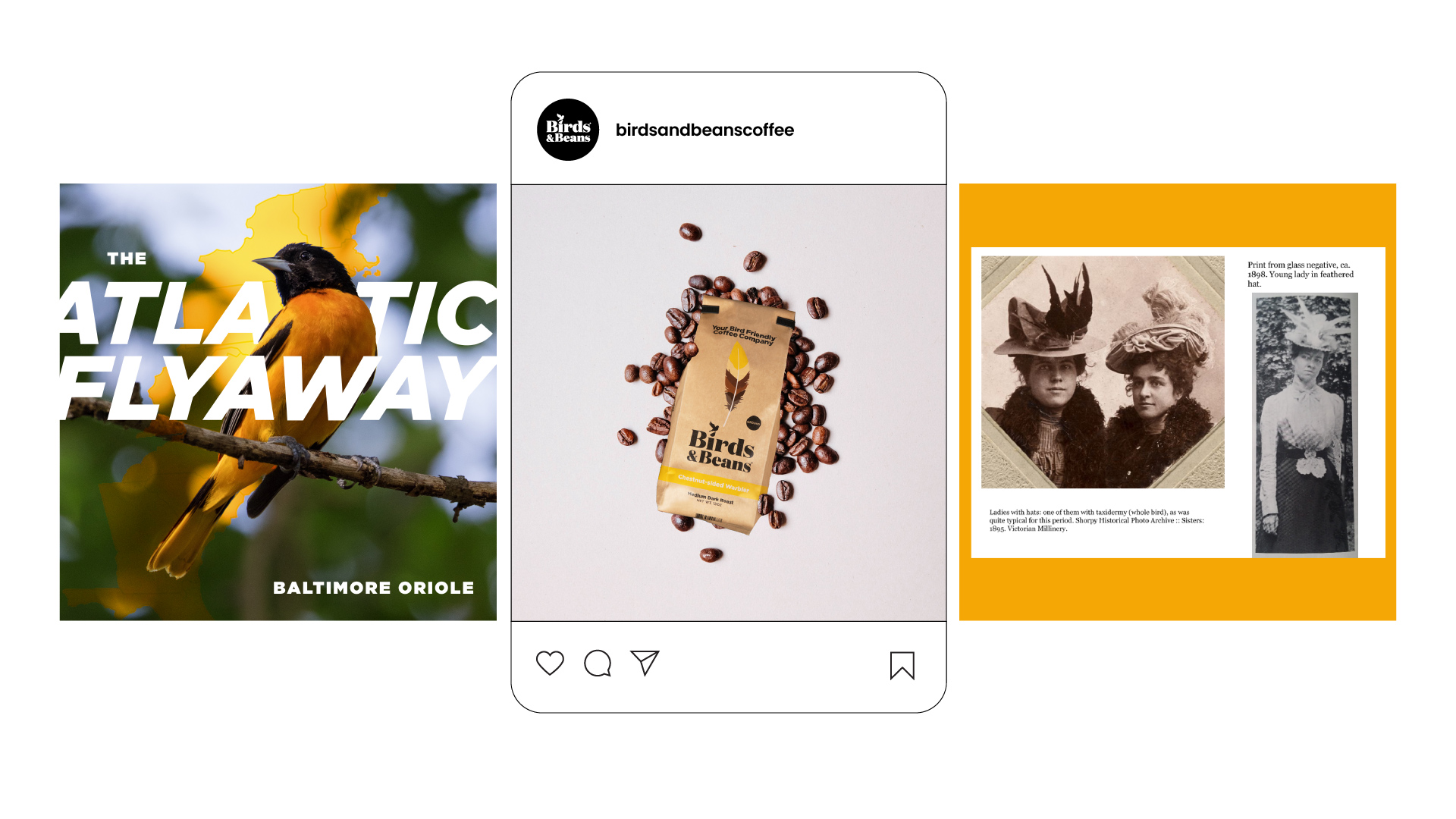 The colors of the bags inspire the colors in images. The first social post shows the Baltimore Oriole with its signature yellow belly. The second post is the Baltimore Oriole bag with a yellow stripe around it. The third post features women in history praised for their conservation efforts.