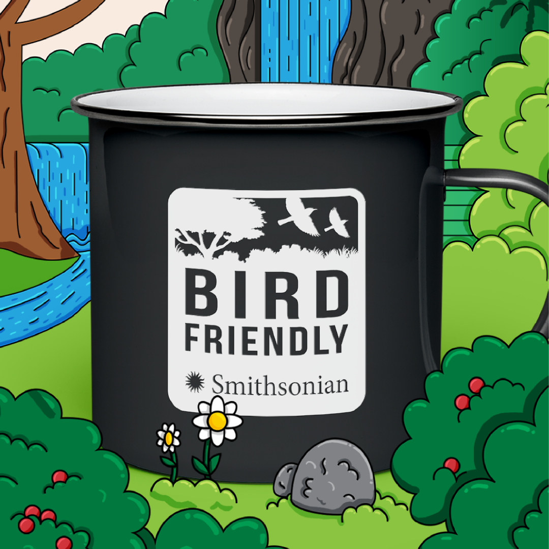 The Smithsonian Bird Friendly® certified logo is on a black coffee mug. It features two birds flying by a tree. Surrounding the mug there’s a hand illustrated forest with a waterfall in the background.