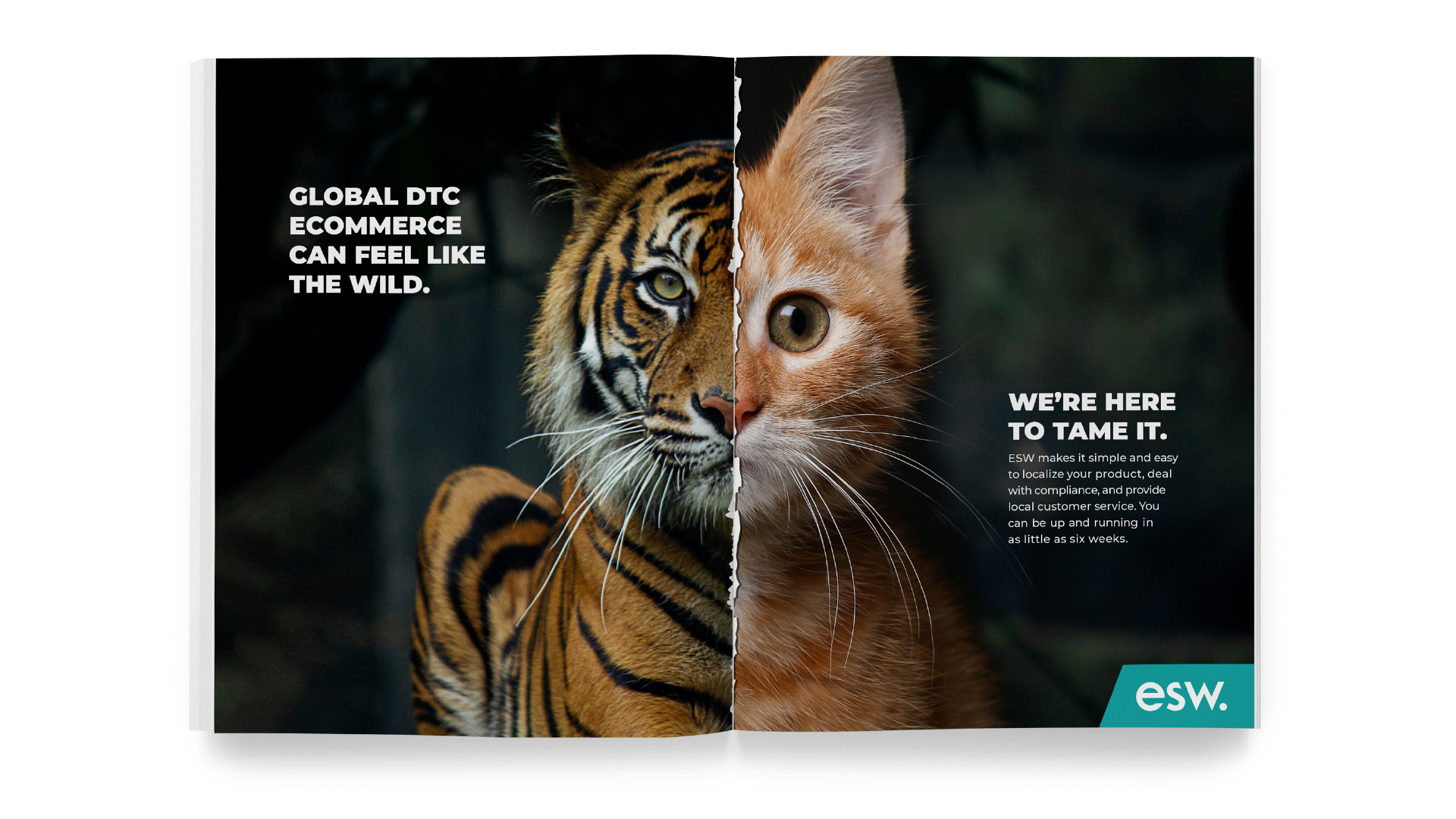 The image of the tiger is accompanied with the words, “Global DTC ecommerce can feel like the wild.” That image is split down the middle with an orange house kitten on the other side with the text, “We’re here to tame it.”