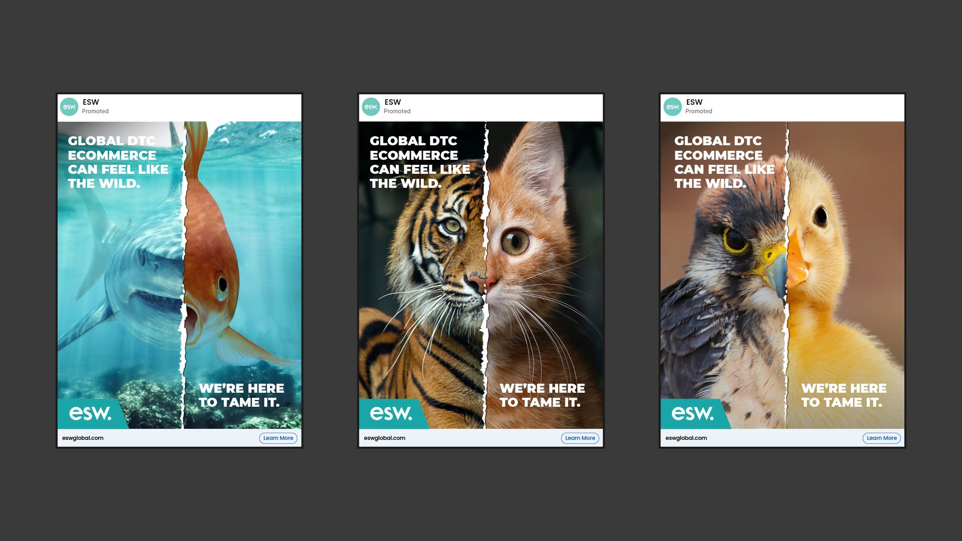 Three ad mockups show how easy it is to scale a DTC business. Each features a tear down the middle of the image to show the contrast. The first is shark and goldfish. The second is a tiger and house cat. The third is a hawk and a duckling.